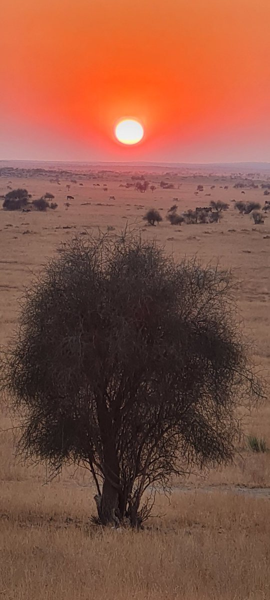 First Sunrise of 2023... May the almighty shower its blessings on everyone ....Cheers 🥂...to a new beginning. #photography #photooftheday #Lovemylife