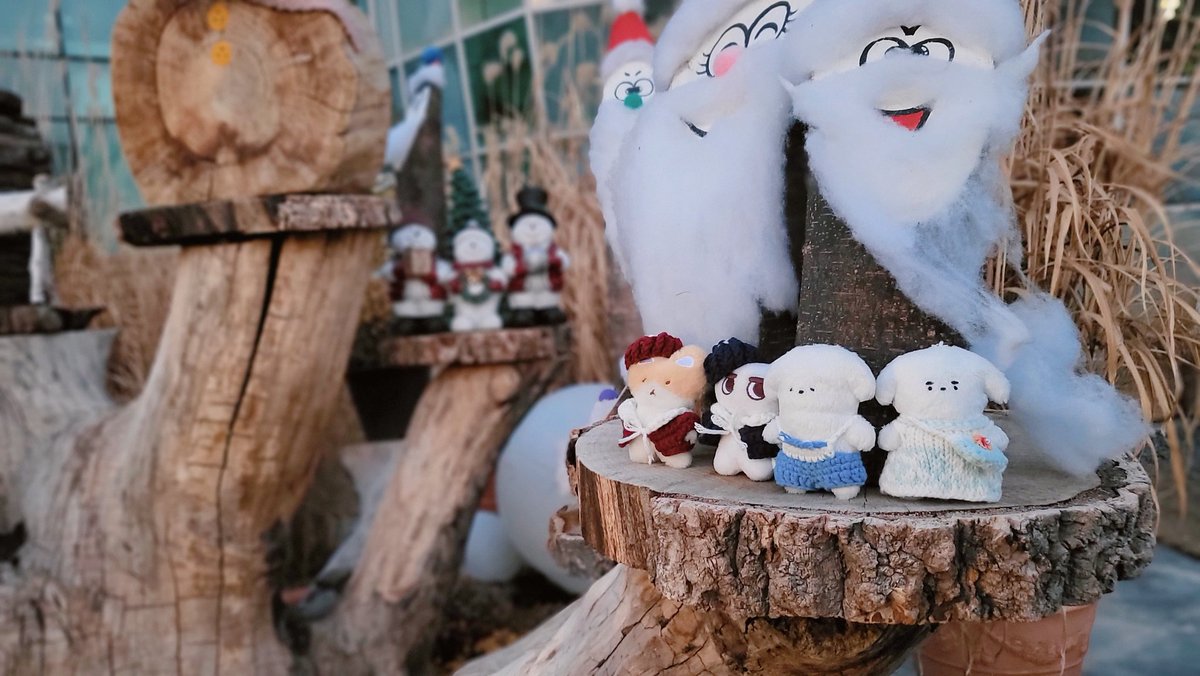 gem56112's tweet photo. 배또아가들의 겨울나들이❄️⛄️🎄
터래기, 작곰뚜, 멈머들❤️ https://t.co/diFm9kCC98