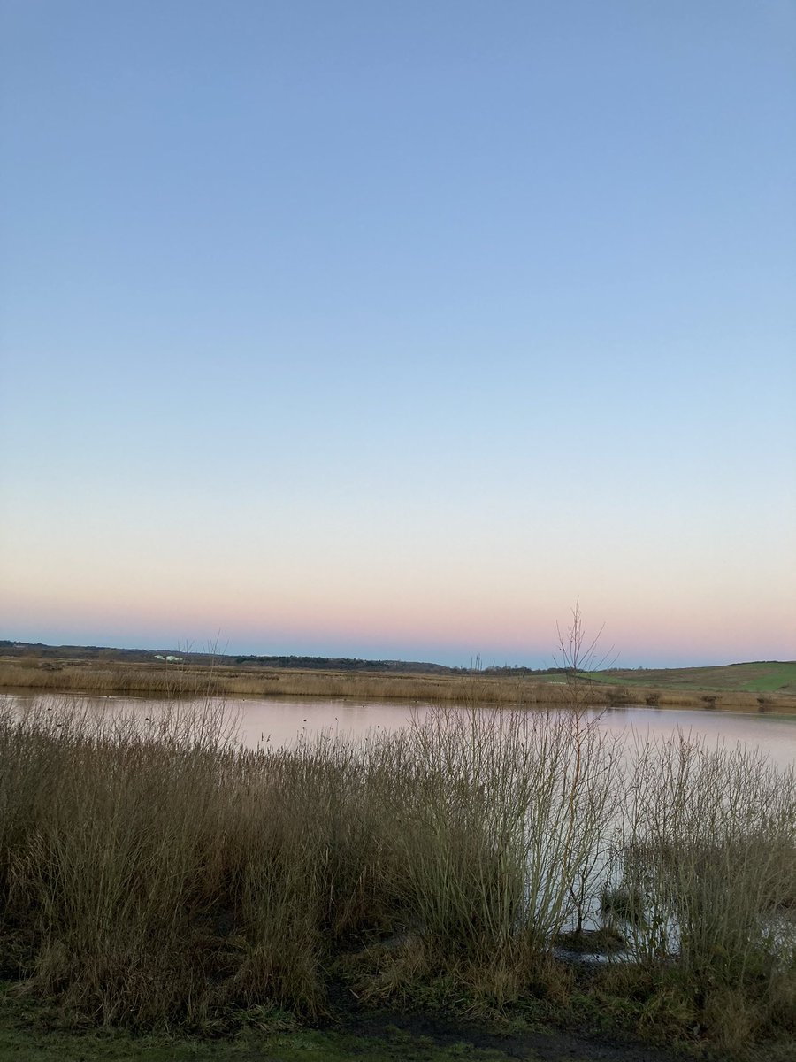 Jen Roberts tweet media