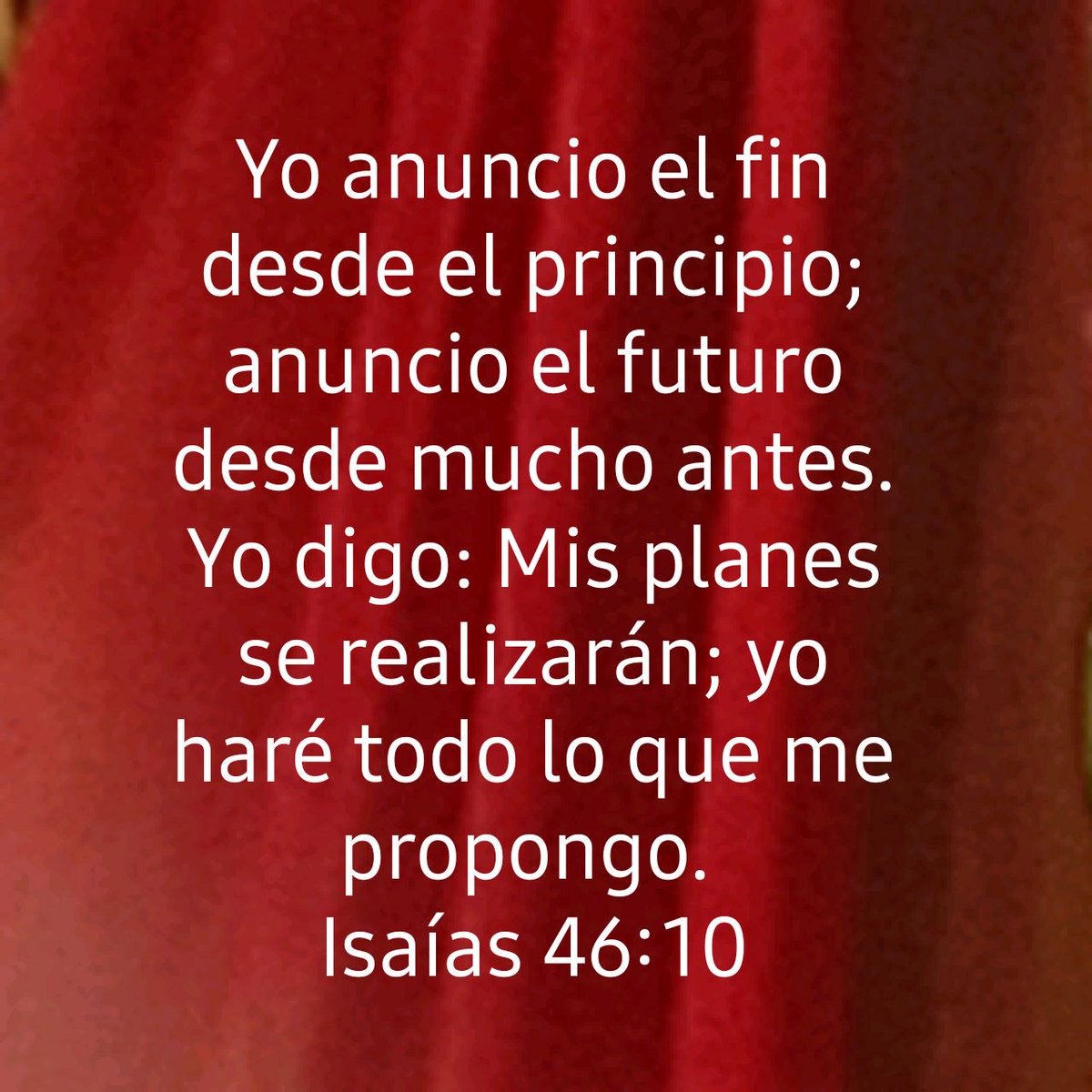 ia7drp's tweet photo. Yo anuncio el fin desde el principio; anuncio el futuro desde mucho antes. Yo digo: Mis planes se realizarán; yo haré todo lo que me propongo.
Isaías 46:10 DHH94I

https://t.co/jBe9Y02qjS https://t.co/Q5EXNcxVdZ
