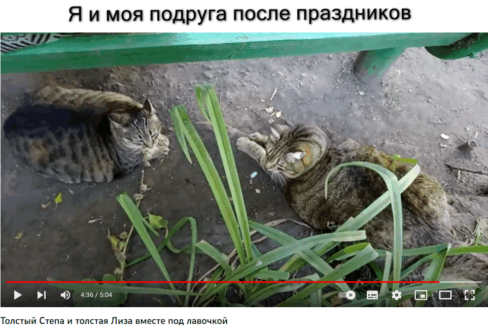 KillingMyTime1's tweet photo. #котэ #нг #жиза #мем #авторскиймем #взаимно https://t.co/cepAX0WOWn