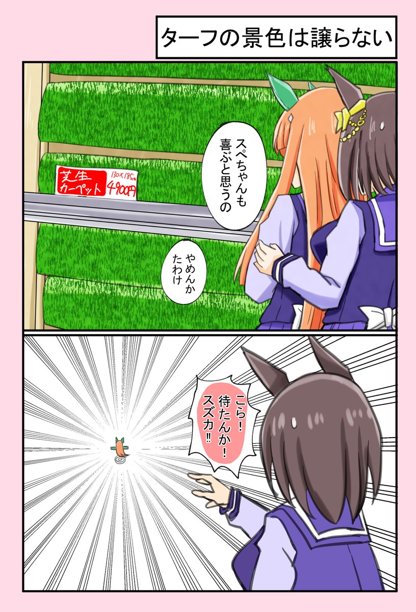 【ターフの景色は譲らない】
#ウマ娘 #サイレンススズカ #エアグルーヴ 