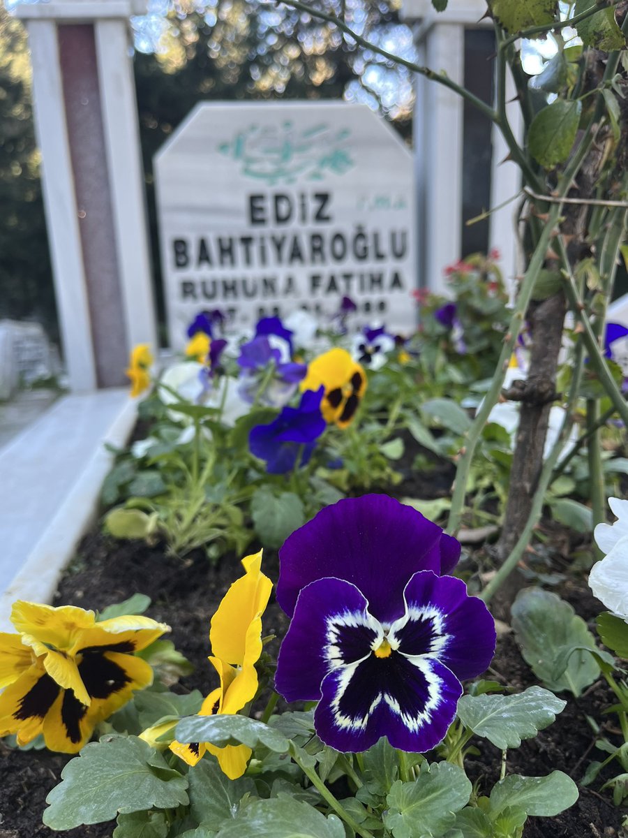 Doğum günün kutlu olsun canım kardeşim ❤️🙏#EdizBahtiyaroğlu