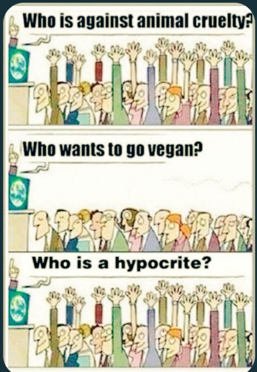 malatis8's tweet photo. #Vegan #Plantbasediet #Stopanimalsuffering #Endfactoryfarming
All those so call animal lovers,those who preach about irradication of animal cruelty,sadly you all are bullshiting 😱if you are not Vegan/opted for Plantbasediet/lifestyle - & that's the truth.☹️💔 https://t.co/uIcVd3ckqO