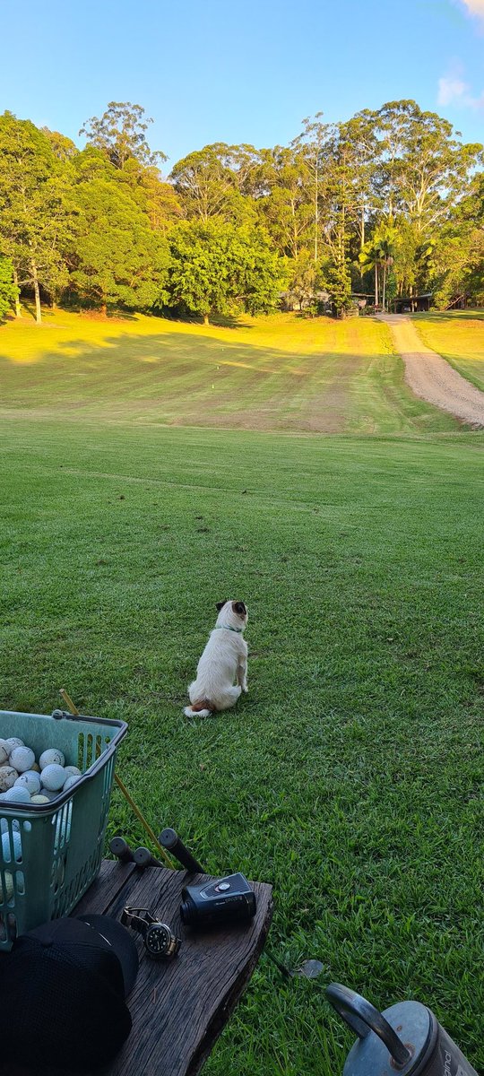 Alex Briggs tweet media