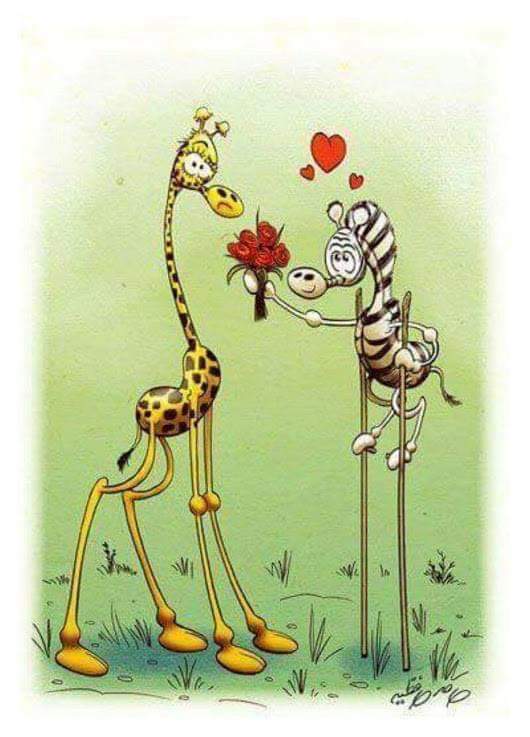 sergiodesiena's tweet photo. ...la dolcezza di ricevere senza chiedere... 💕 https://t.co/rfdEzVChwE