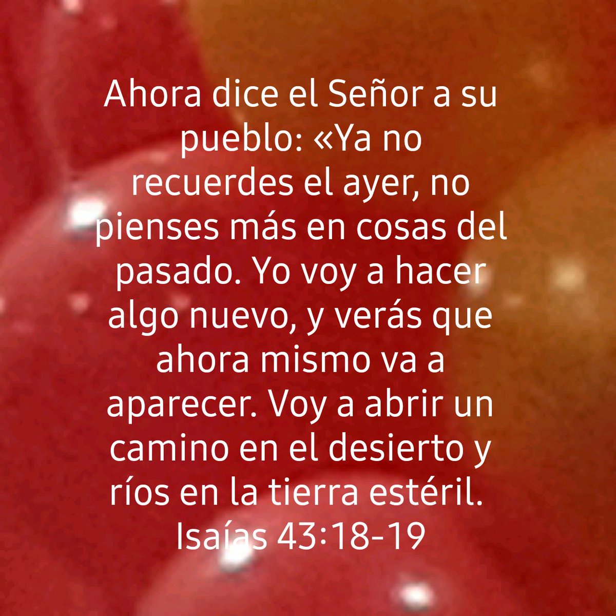 ia7drp's tweet photo. Ahora dice el Señor a su pueblo: «Ya no recuerdes el ayer, no pienses más en cosas del pasado. Yo voy a hacer algo nuevo, y verás que ahora mismo va a aparecer. Voy a abrir un camino en el desierto y ríos en la tierra estéril.
Isaías 43:18-19 DHH94I

https://t.co/EEjBt5PyAe https://t.co/OwQkBh7kgO