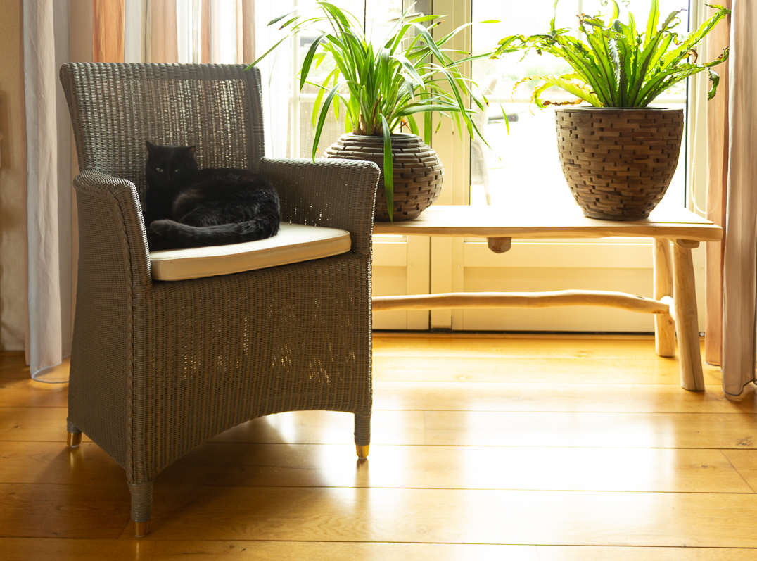 Lloyd loom stoelen sfeervol voor uw woonkamer. Kijk hier de Lloyd loom eetkamerstoel 3504 in de mooie trendy taupe kleur. Eetkamerstoelen nodig? Denk eens aan Lloyd loom. lloydloomwinkel.nl #Lloydloom #eetkamerstoelen #trendystoel