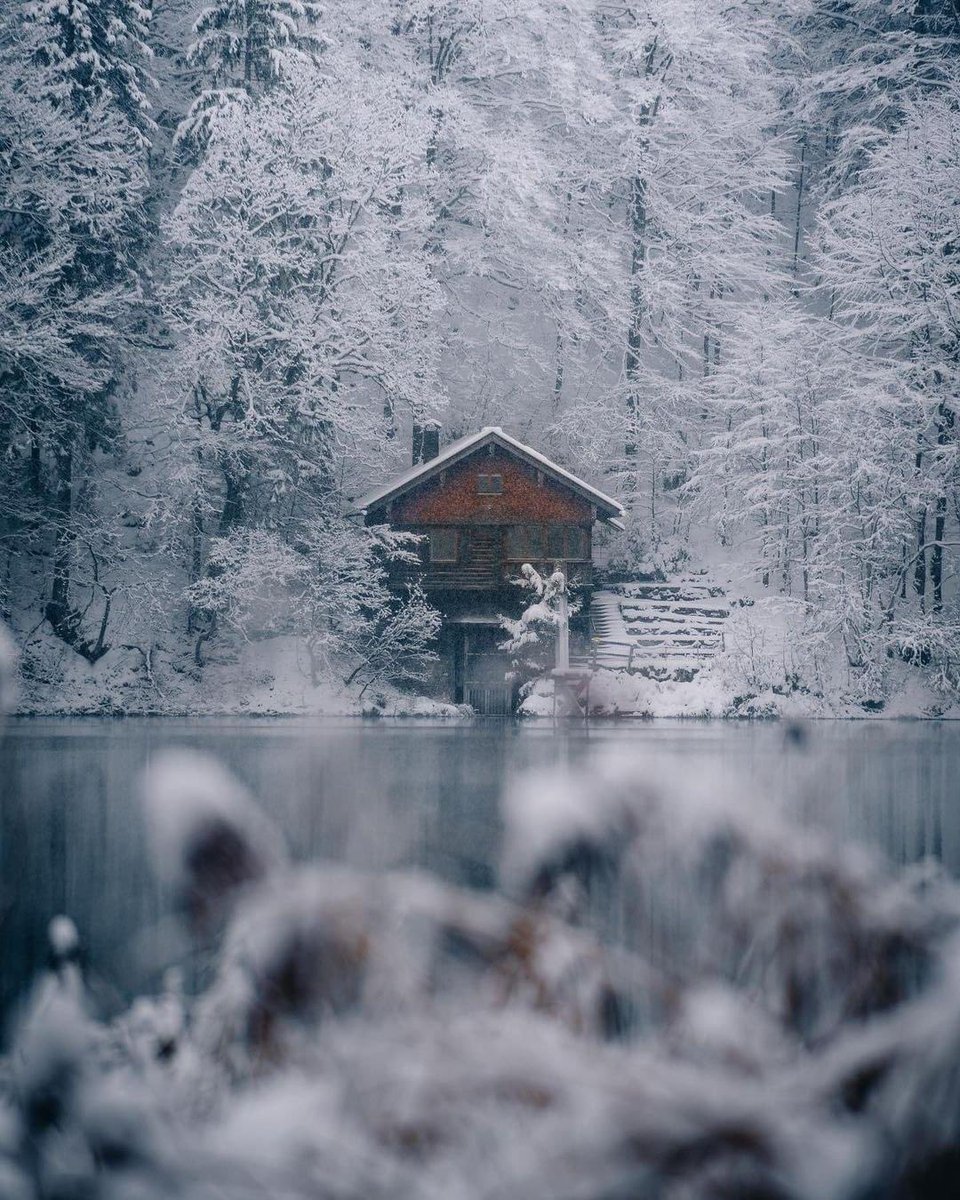 Who wants to stay in this lovely Cabin Bayern Germany 🇩🇪?
📸IG lukasrichter