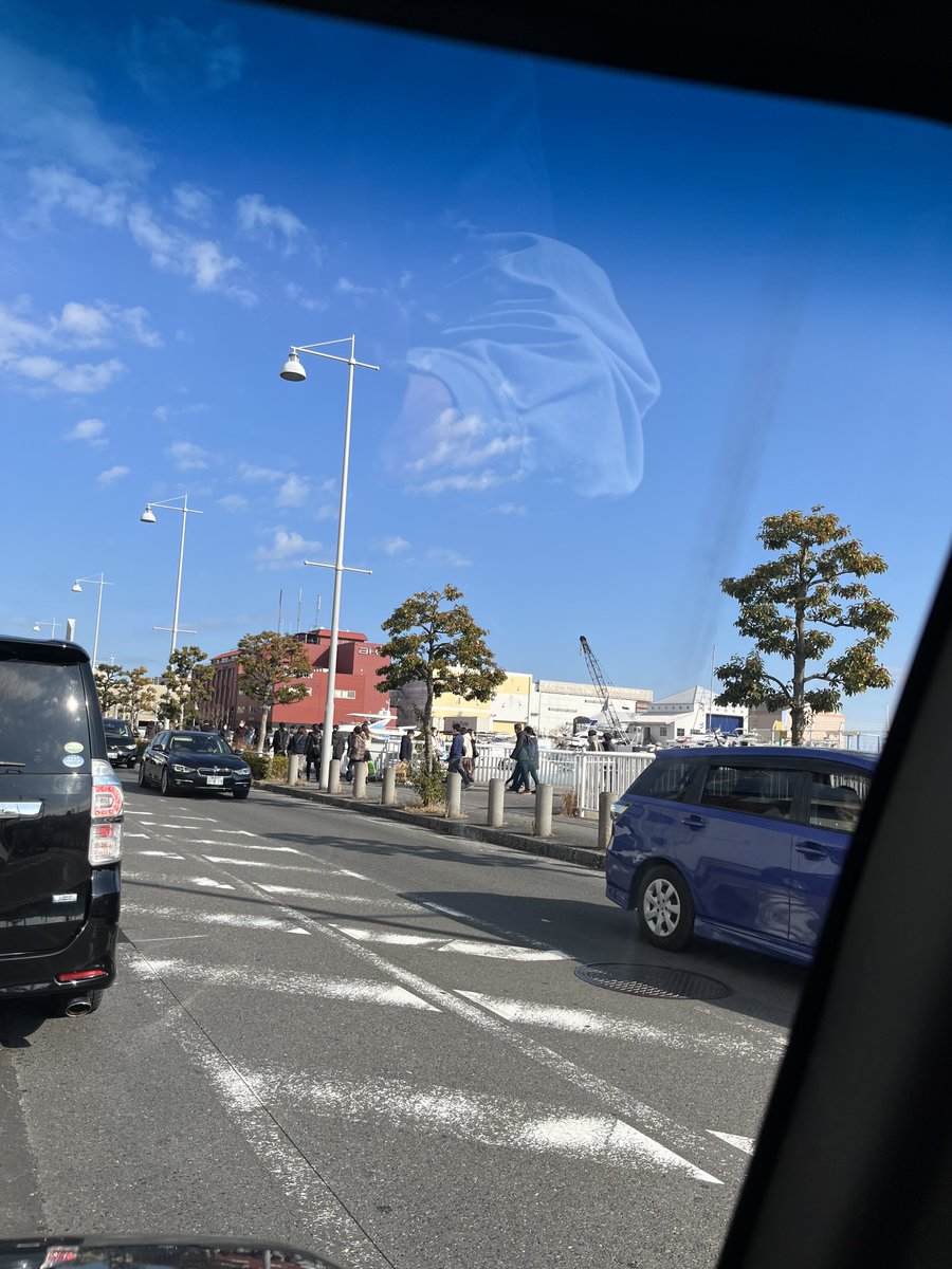 MFSとFL4のチンタロ tweet media