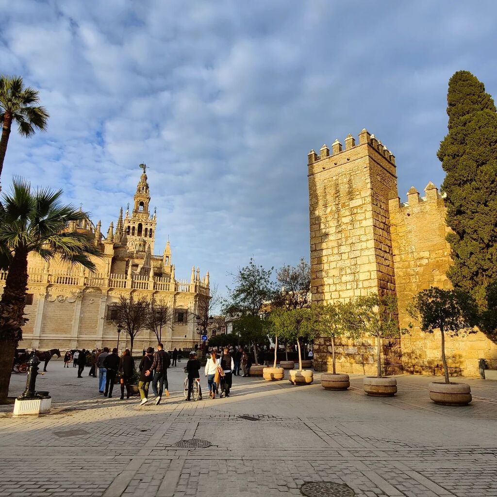Der_MiWei's tweet photo. Adiós a Sevilla y Feliz Año Nuevo 😉

#sevilla #andalucia #spain #holiday #goinghome #outofgermany https://t.co/fugIkIgtDX https://t.co/jSZZKWohby