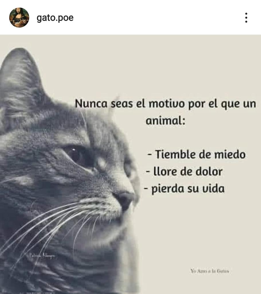 hugoguionista's tweet photo. https://t.co/OOqjgj17Yz