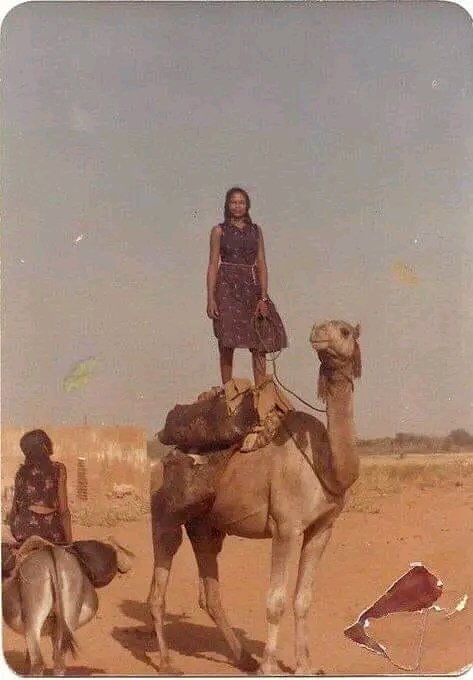 fahal770's tweet photo. دار الكبابيش.. https://t.co/TyYYbawWtV