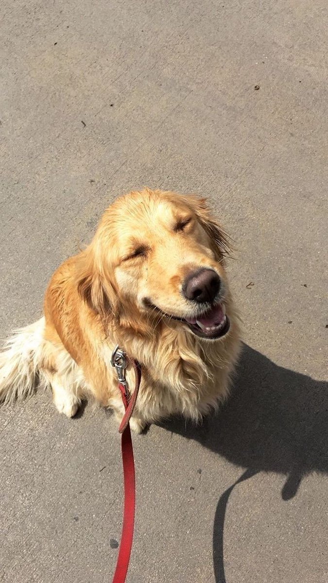 happy boy na uli ang tatu hahaha 😹