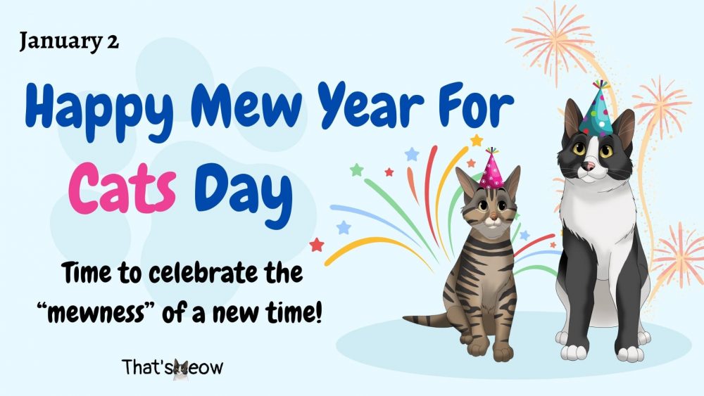 It's Happy Mew Year for Cats Day.😻😻😻
Hopes you all had a fantastic first day of 2023!

👉20% Off EVERYTHING you need to start the year off right!
❤Use Code: NYEAR20
🔗Shop Now: bit.ly/3WFMqTt

#happymewyearforcatsday #sale #newyearsale #petcaresupplies #petsupplies