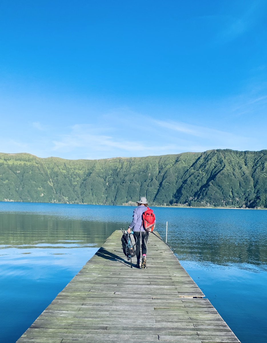 Ann Rigg tweet media