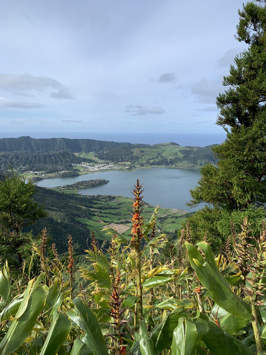 Ann Rigg tweet media