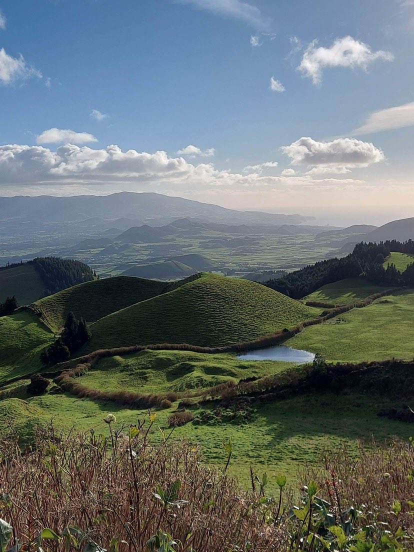 Ann Rigg tweet media