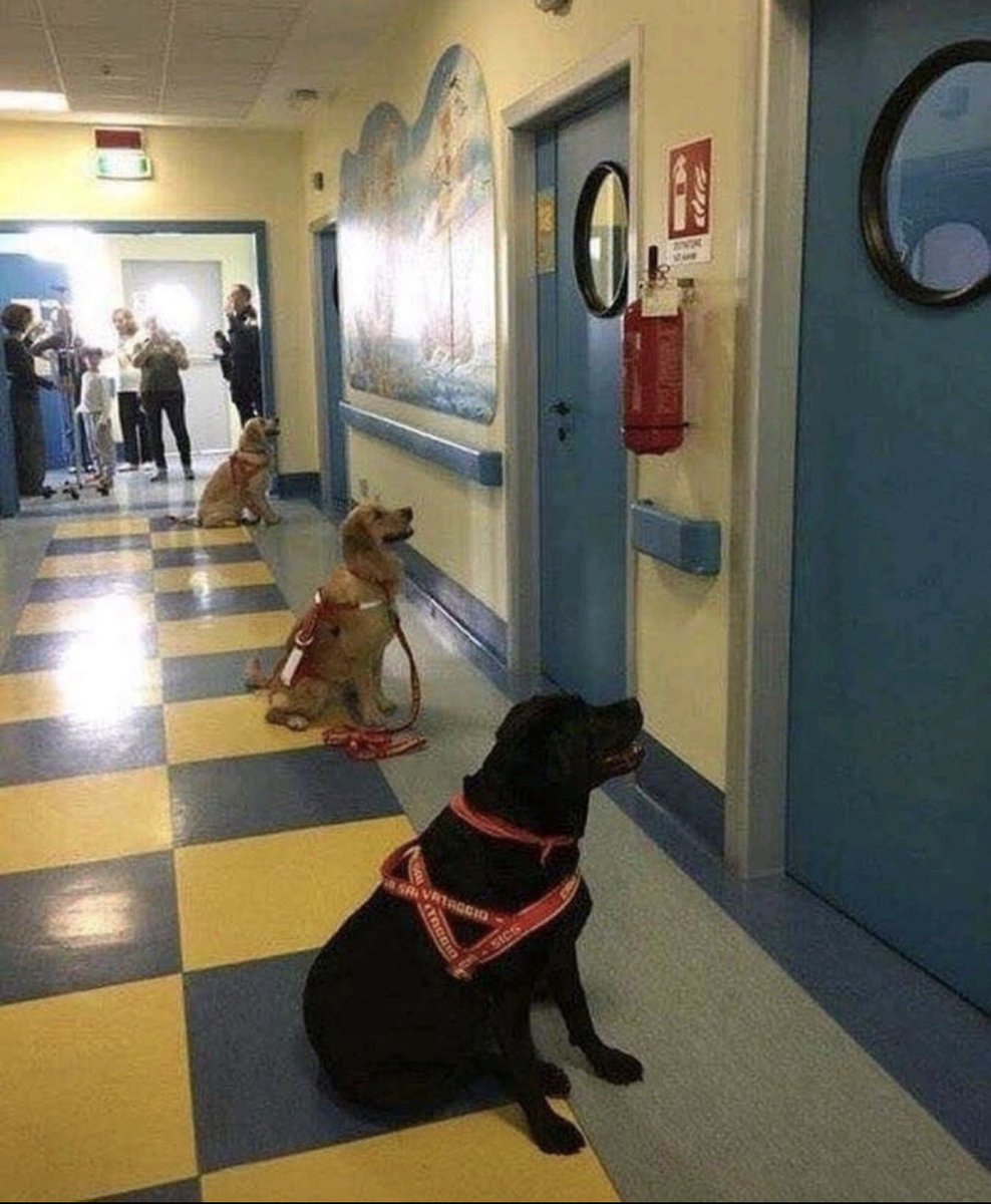 Julia's #STEAMing up Learning! tweet media