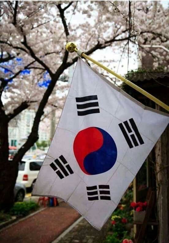 catyoongigi's tweet image. ⠀⠀⠀⠀⠀⠀⠀⠀⠀

⠀⠀⠀⠀🌿 ᰋ ׅ࣪   ꒰ ♡  Drive com apostilas de coreano🌸
 ㅤTambém tem exercícios e livros infantis para treinar, vou deixar minha pasta no Pinterest tbm ꒱
 ⠀⠀⠀⠀⠀⠀a thread; #studytwt - #langtwt #studytwtbr ⠀⠀⠀⠀⠀⠀⠀⠀⠀