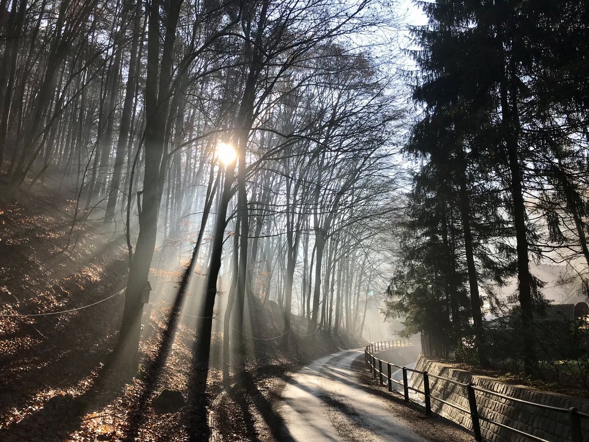 Kara Weller tweet media