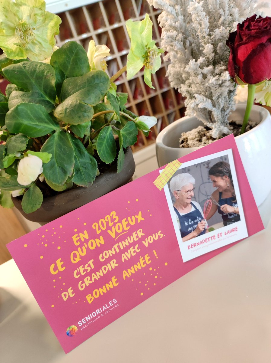 Senioriales de La Rochelle Porte de Ré tweet media