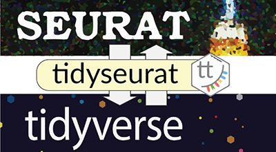Physacourses's tweet photo. If you work with #scRNAseq, you should have a look at tidyseurat https://t.co/p6r2LPj0Gb
It creates an invisible layer that enables viewing the Seurat object as a tidyverse tibble, and provides Seurat-compatible dplyr, tidyr, ggplot &amp; plotly functions
#rstats #Genomics https://t.co/AbYosKDRzK
