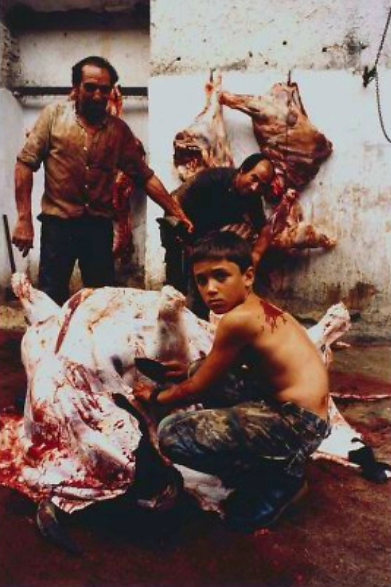 "Para mí, una imagen icónica de España es el toro muerto en el desolladero (...) Mis fotos chocaban, decían que eran duras. ¡Coño!, mis referencias son el Barroco, Goya..."
Cristóbal Hara, Premio Nacional de Fotografía 2022.