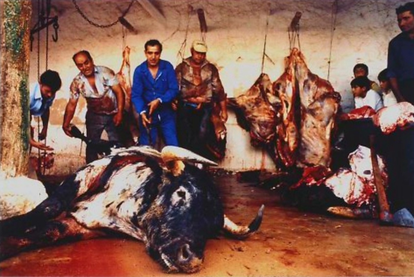 Samsa2111's tweet photo. "Para mí, una imagen icónica de España es el toro muerto en el desolladero (...) Mis fotos chocaban, decían que eran duras. ¡Coño!, mis referencias son el Barroco, Goya..."
Cristóbal Hara, Premio Nacional de Fotografía 2022. https://t.co/f0zUgZWD6v