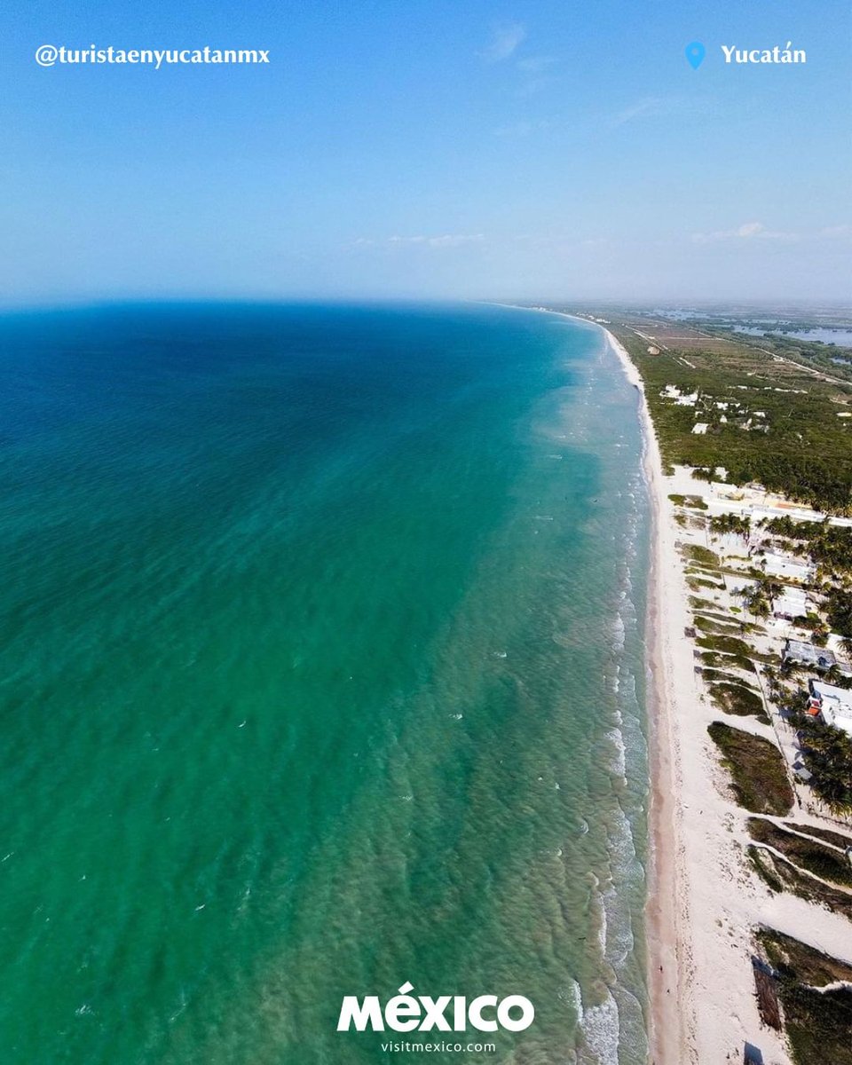 visitmexicojapa's tweet photo. 『Sisal』
青い海と緑がかった海、どちらが好きですか？
私は個人的に、白い砂浜がずっと続いているこの景色全体が好きです😊✨

📸 @turistaenyucatanmx
@wevisitmexico @VisitMex

#メキシコ　#mexico
#visitmexicojapan
#ビジットメキシコジャパン https://t.co/rpNriCx8X2