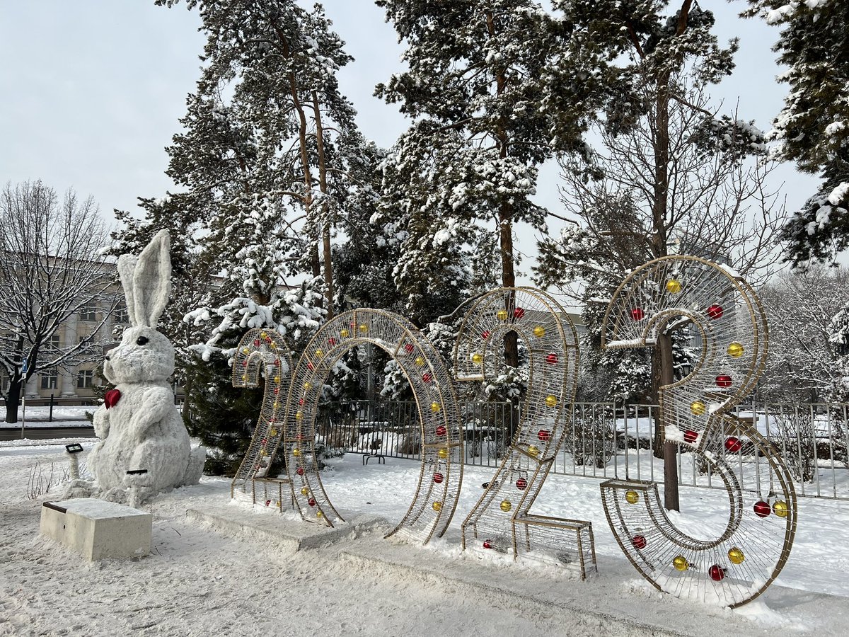 Год кролика, который мы все заслужили 😂🐰