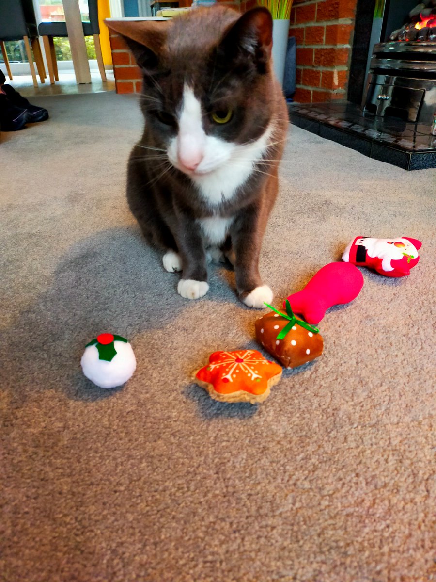 <a href="/Velvetthecat21/">Velvet2021</a> Right back at you