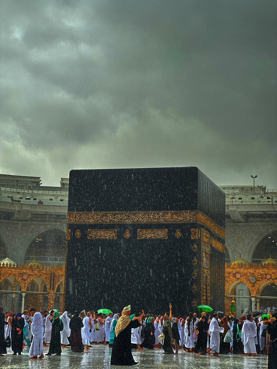 سرمد tweet media