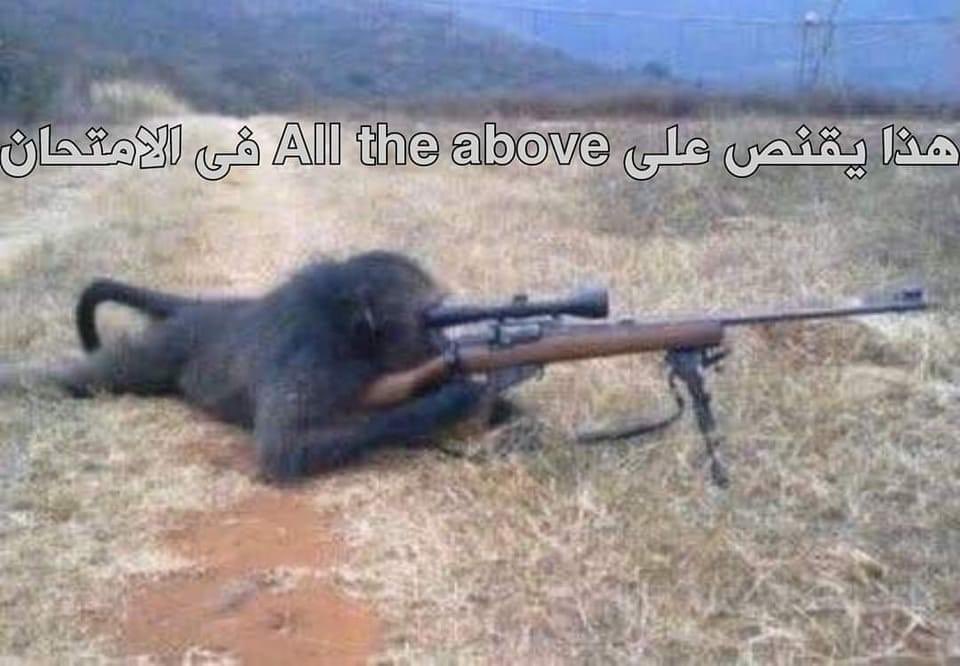 Memesawyy's tweet photo. https://t.co/WfGLEJTrs9