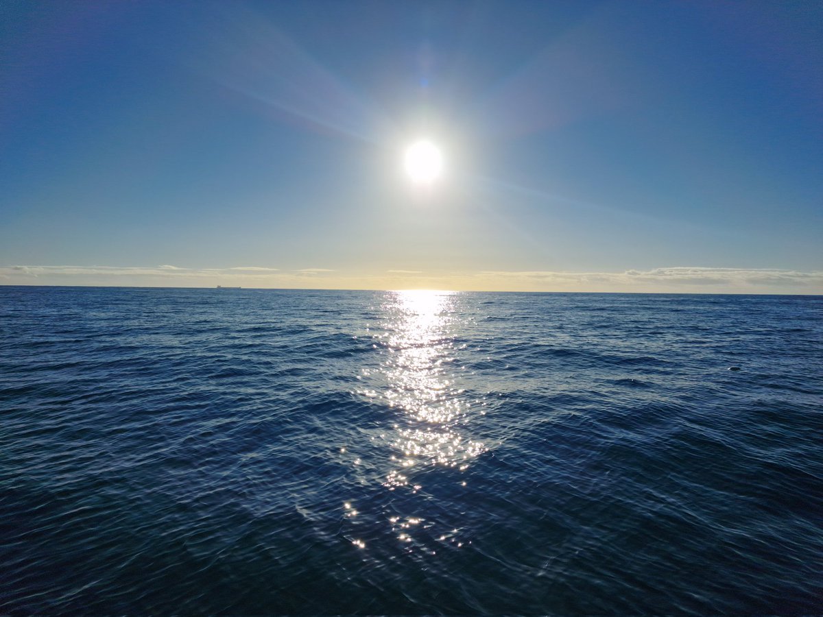 AtlanticScuba's tweet photo. Winter diving,  dolphins and porpoises on the way to the dive site. https://t.co/HzpV5D6Kex