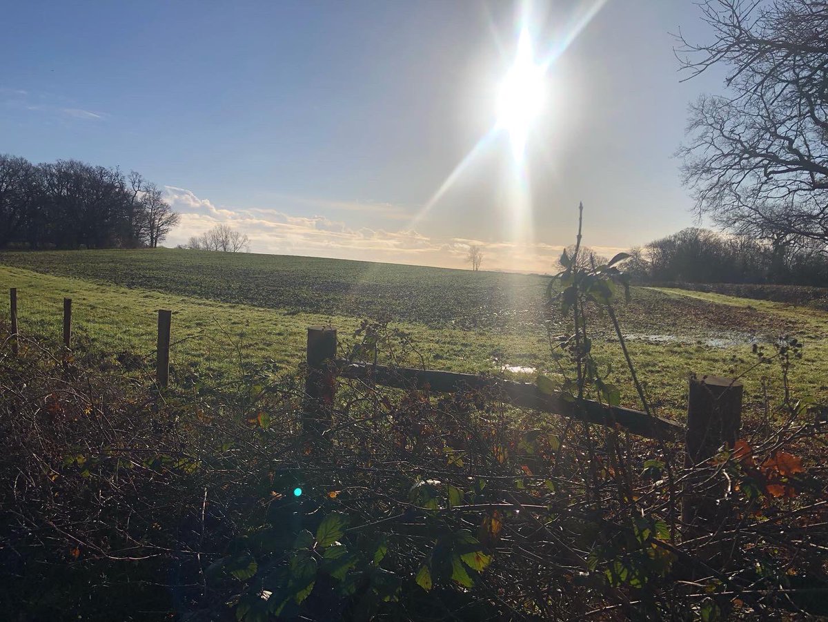 jnanagarbha's tweet photo. Happy New Year (again) from me and my favourite field. #sharpthorne https://t.co/vJvgrgDKBk