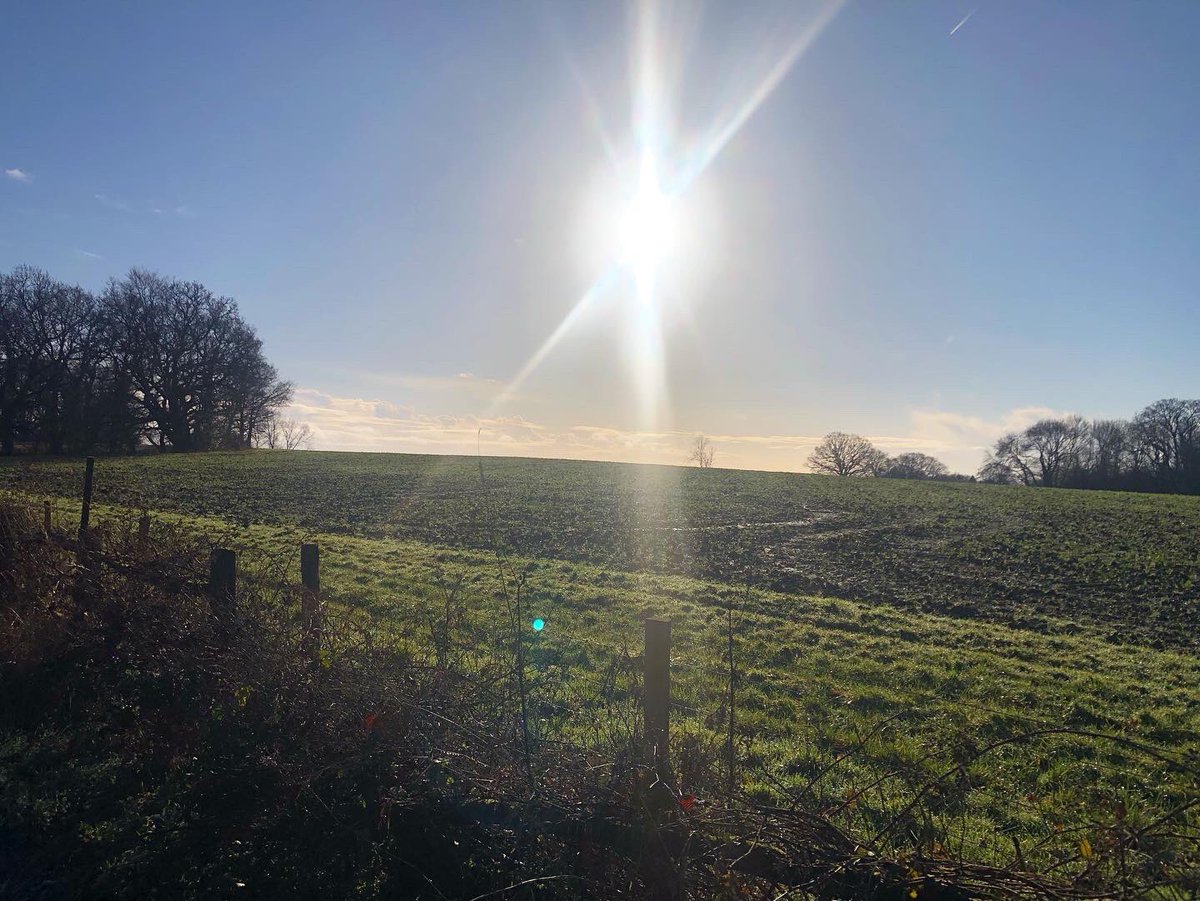 jnanagarbha's tweet photo. Happy New Year (again) from me and my favourite field. #sharpthorne https://t.co/vJvgrgDKBk