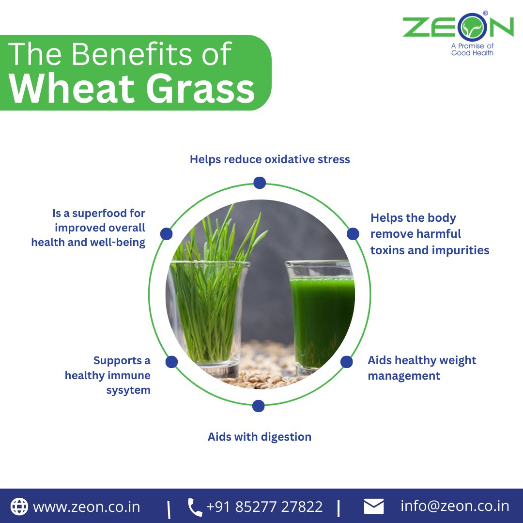 Health Benefits of Wheatgrass Juice - How Wheatgrass Juice supports immune health
