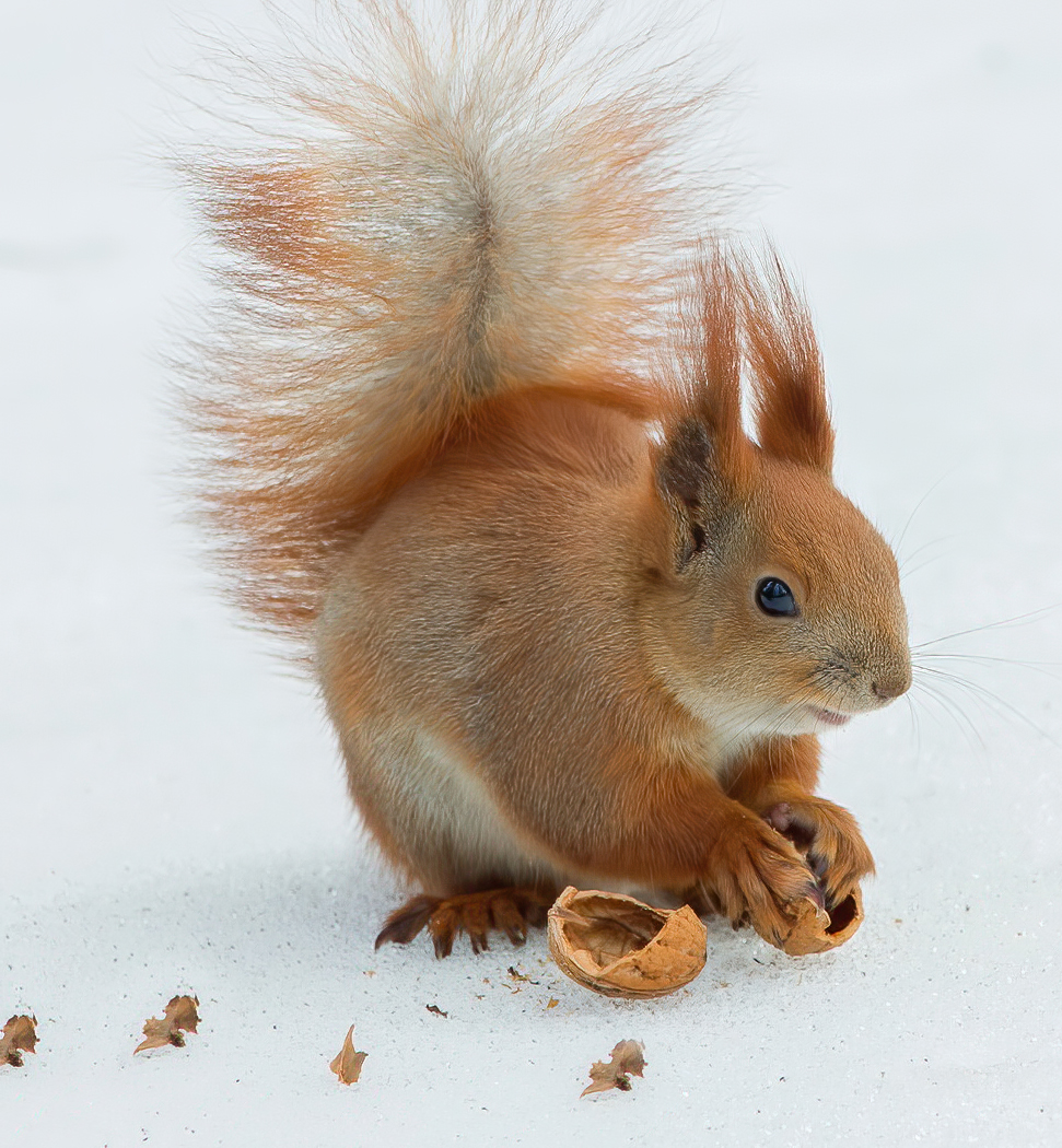 Photographer (@photo5065) on Twitter photo 