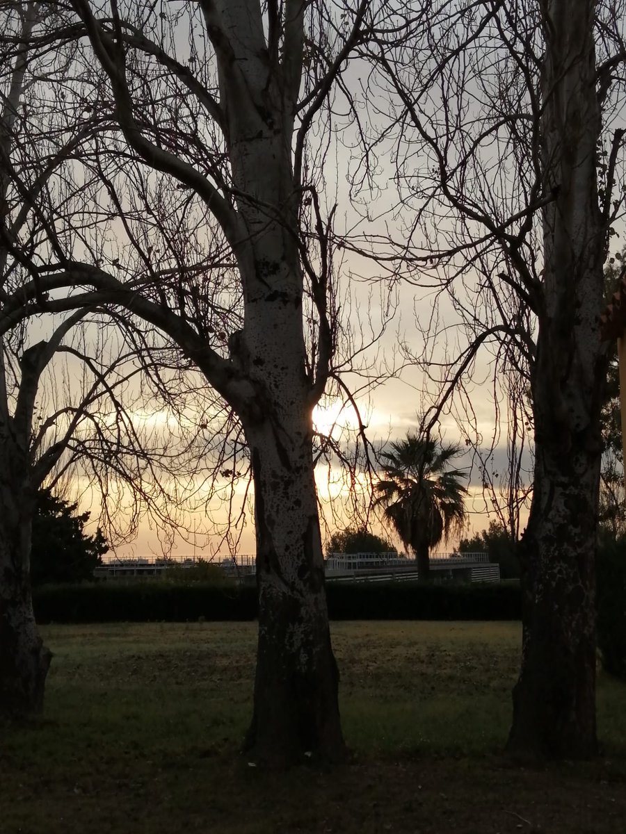 gramareus's tweet image. Plàcida matinada del 2n dia de 2023!!🍀
#reus #2January #anynou #somhi 
@AlfredRPico @JRovireta @1967fct @StormHour @SeguimlaMeteo @Meteo_Roses @Granada_Meteo #bondia #happynewyear2023