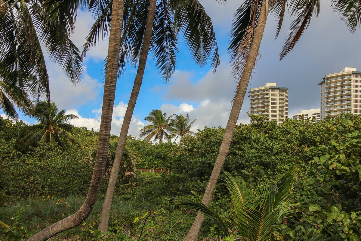 MTonzillo's tweet photo. A photo I recently took at Singer Island.
https://t.co/v414pUFI6A
#westpalmbeachrealestate #westpalmbeachphotographer #westpalmbeachrealtor #westpalmbeachhomes #portsaintlucierealestate #portsaintluciephotographer #portsaintlucierealtor #portsaintluciehomes #stuartrealestate https://t.co/OV2d7melJR