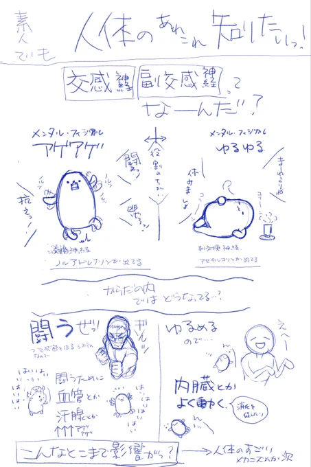 @Riku_Natume それはさぞご不安でしょう
まだラフの原稿なんですが参考になれば幸いです

副交感神経に干渉する人体のメカニズムは多いですし、その分そこに干渉する薬も多いので…繰り返しになりますがお気をつけくださいませ。 