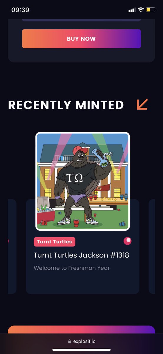 Turnt Turtle Fraternity | MINTING NOW | tweet media