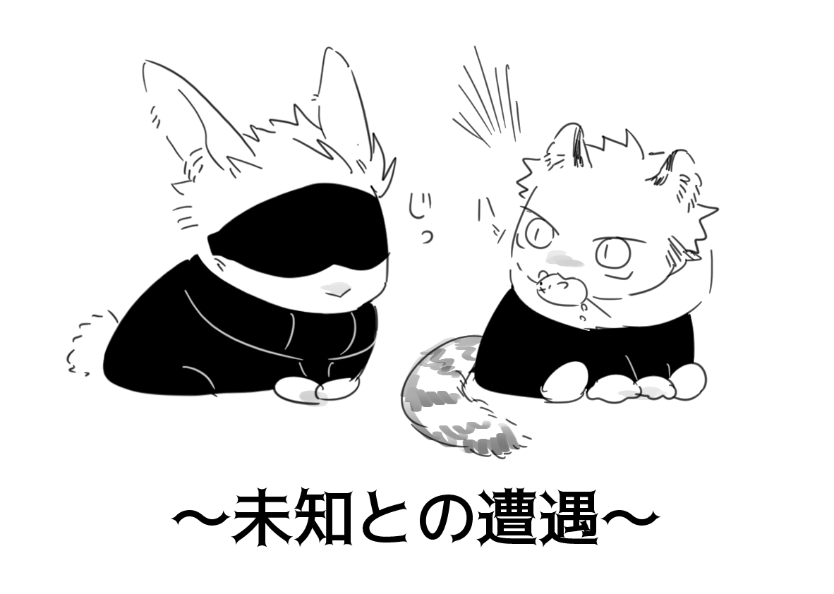🐰🐯 