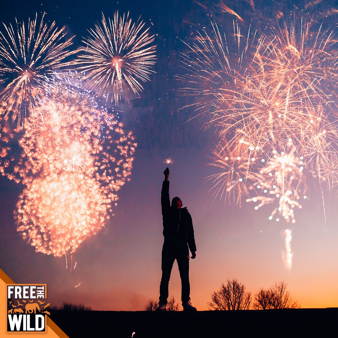 Wishing you all a very Happy New Year and a fantastic start to 2023. We look forward to being able to help as many wild animals suffering in captivity as possible, and working with our supporters to make a better life for all of them.
FTW 🧡
#ftw #freethewild #happynewyear