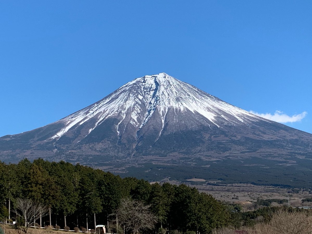 Gacci@Amiliyah🍙 tweet media