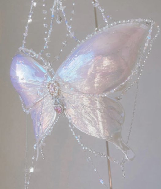 butterfly corset