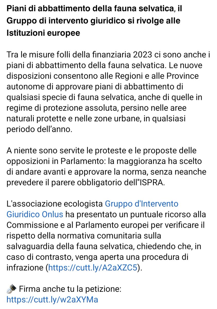fraghirra's tweet image. Tra le misure folli della #finanziaria2023 ci sono anche i #piani di #abbattimento della #faunaselvatica: si può prevedere l'abbattimento di qualsiasi specie di fauna selvatica, anche protetta, persino  in #parchi e #areeurbane.

Firma la petizione: cutt.ly/w2aXYMa