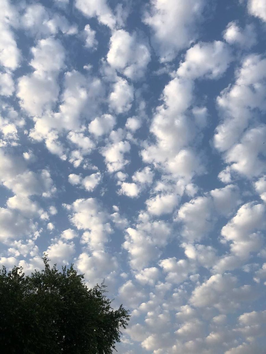 عراقية حرة (@rwzt18) on Twitter photo 