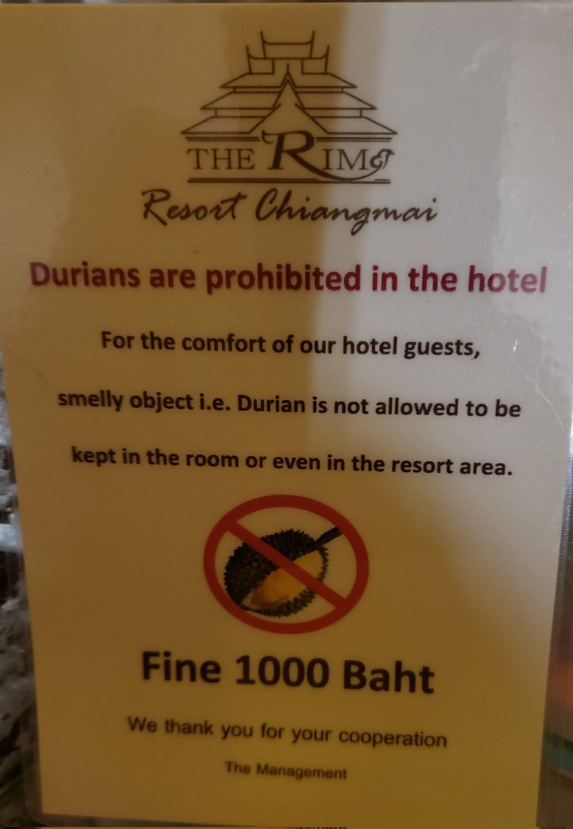 Kirill Traveling tweet media